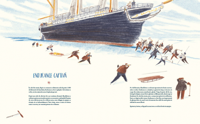 Aventura în Antarctica Expeditia Endurance [8]