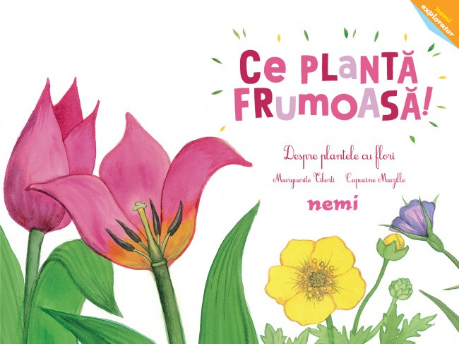 Ce planta frumoasa! - Despre plantele cu flori [2]