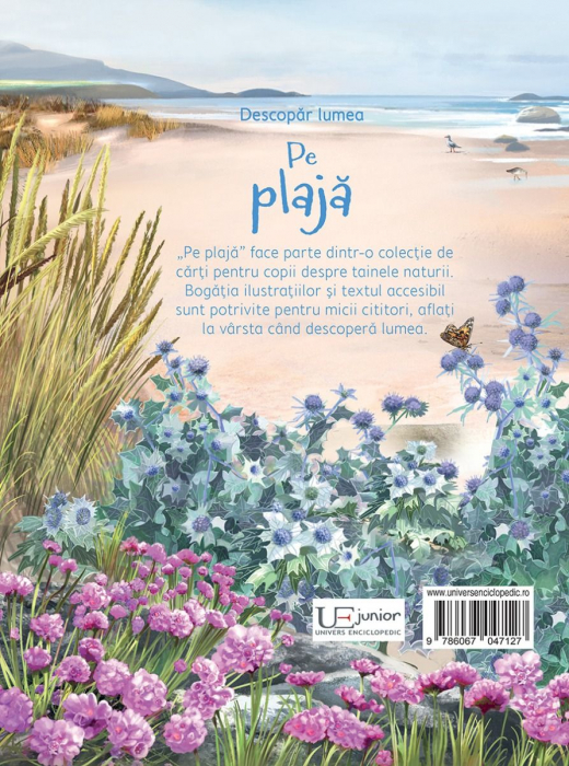 Pe plaja (Usborne) [5]