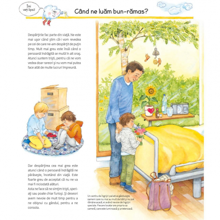 Rămas bun, deces, doliu [2]