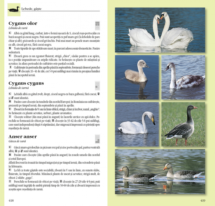 Determinator de plante și animale [4]