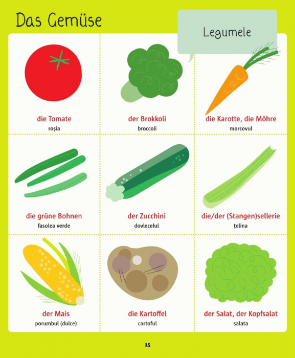 Dictionar ilustrat german-roman. Hallo Deutsch! [4]