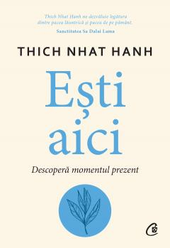Esti aici Descopera momentul prezent [2]
