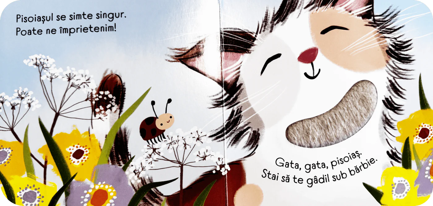 Gata, gata, pisoiaș - carte senzorială [2]