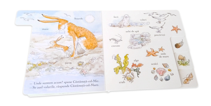 Ghici cât de mult te iubesc. Să descoperim natura [3]