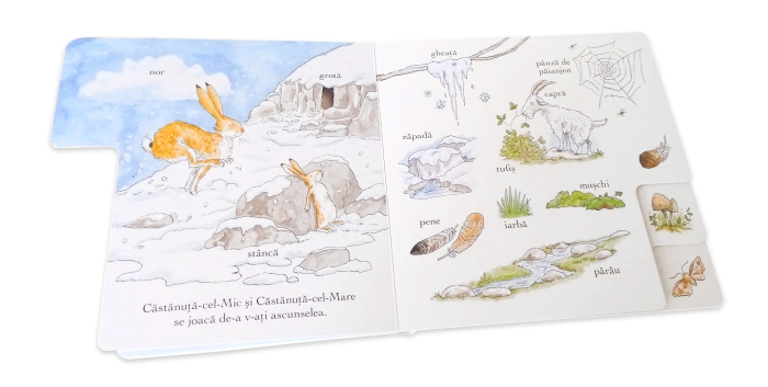 Ghici cât de mult te iubesc. Să descoperim natura [4]