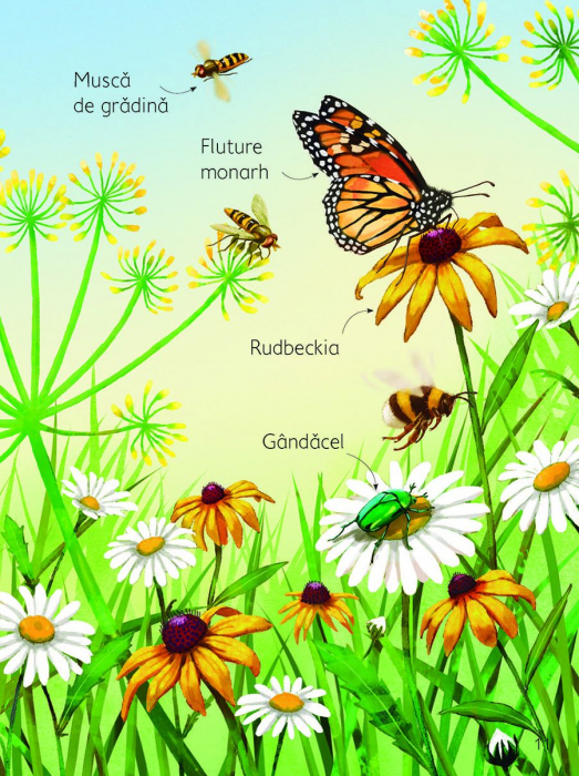 Anotimpurile (Usborne) [5]