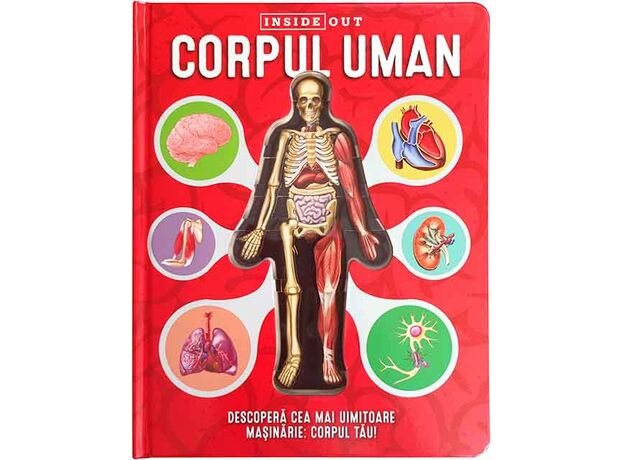 Corpul Uman – model 3D [1]