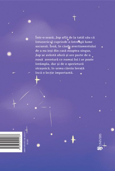 Jup, un pisoi de soi – volumul VIII – Jup și secretele nopții [2]