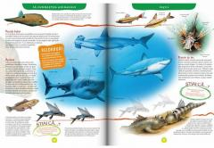 Lumea animalelor Enciclopedie ilustrata [2]