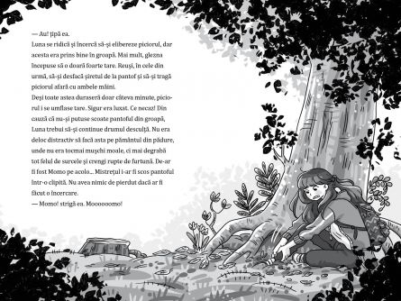 Luna si padurea magica - Un secret in gherute de pisica  vol II [4]