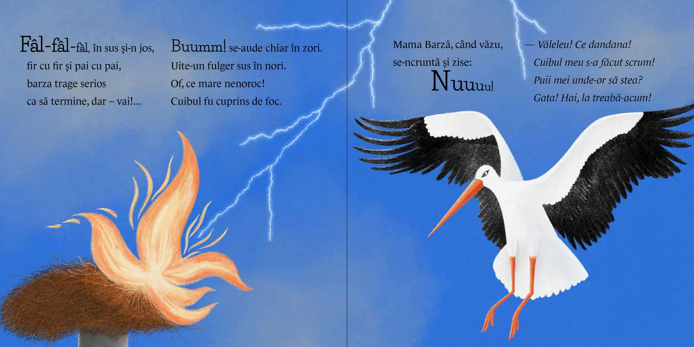 Mama Barză-și face cuib [4]