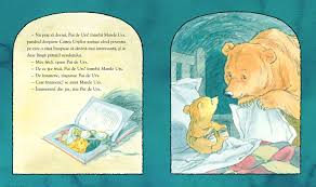 Nu ți-e somn, ursulețule? [2]