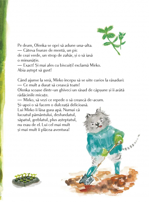 O vara cu Olenka [6]
