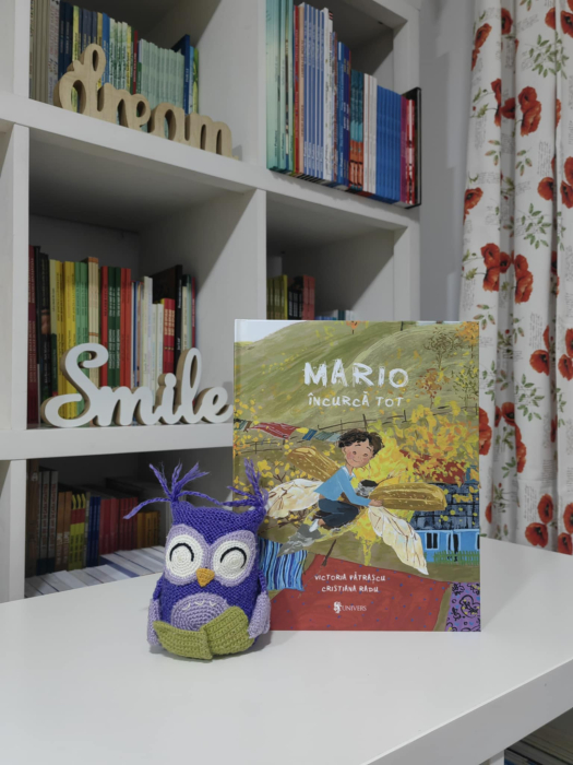 Pachet 10 cărți pentru clasa a IV-a [10]