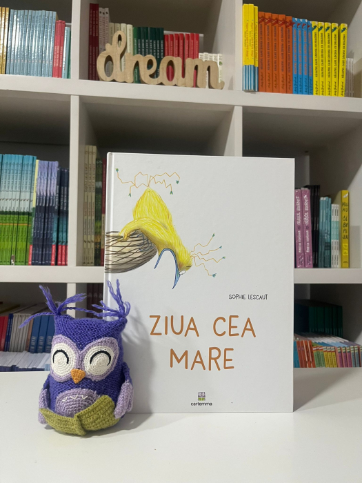 Pachet 10 cărți pentru școală [11]