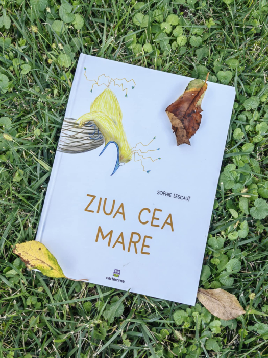 Pachet de 20 de carti Cartemma [9]