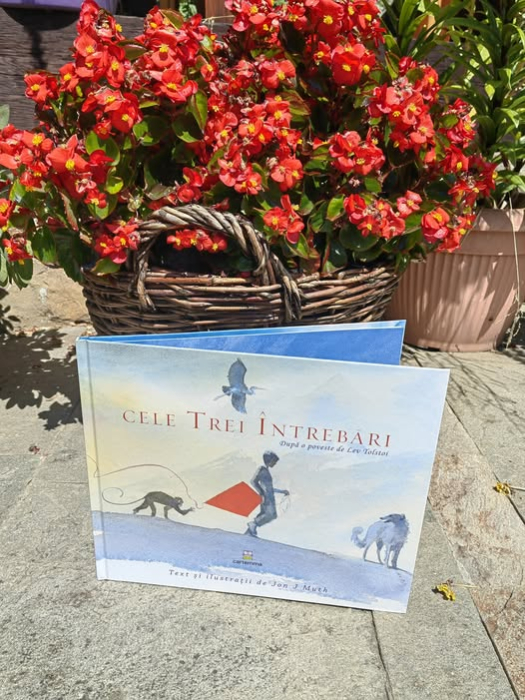 Pachet de 20 de carti Cartemma [4]