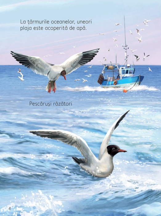 Pe plaja (Usborne) [2]