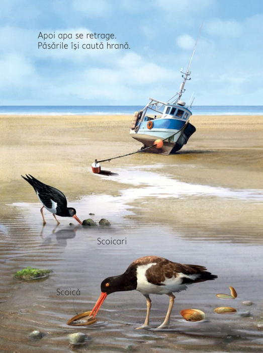 Pe plaja (Usborne) [3]