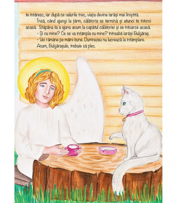 Pe aripi de inger [6]
