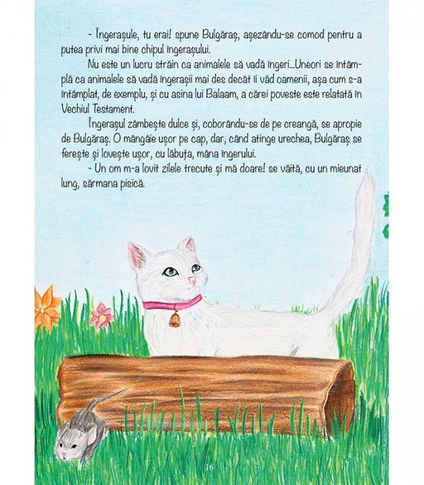 Pe aripi de inger [3]
