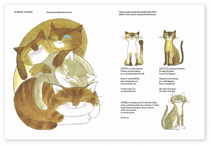 Prietenele noastre, animalele [3]