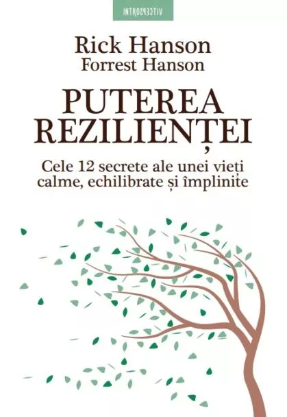 Puterea rezilientei. Cele 12 secrete ale unei vieti calme, echilibrate si implinite [1]