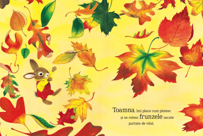 Sunt un iepuraș [7]