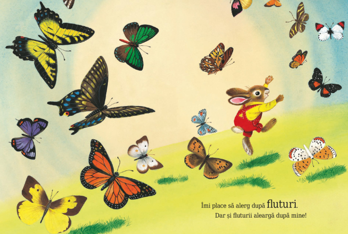 Sunt un iepuraș [4]