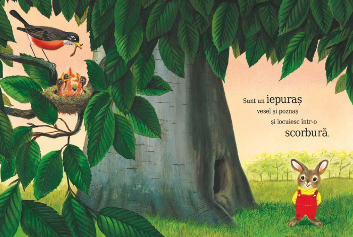 Sunt un iepuraș [2]