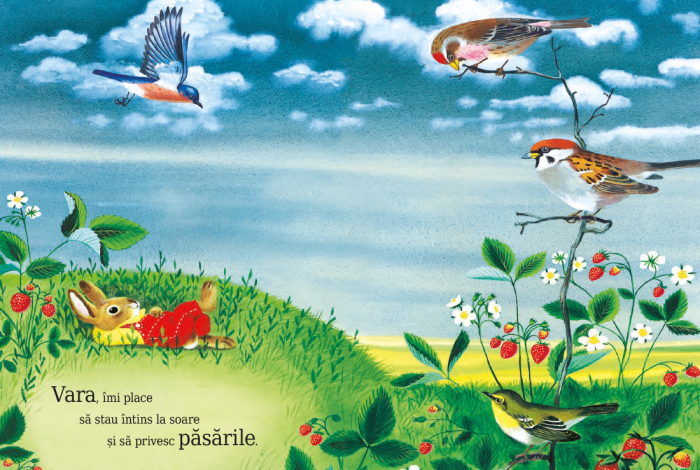 Sunt un iepuraș [5]