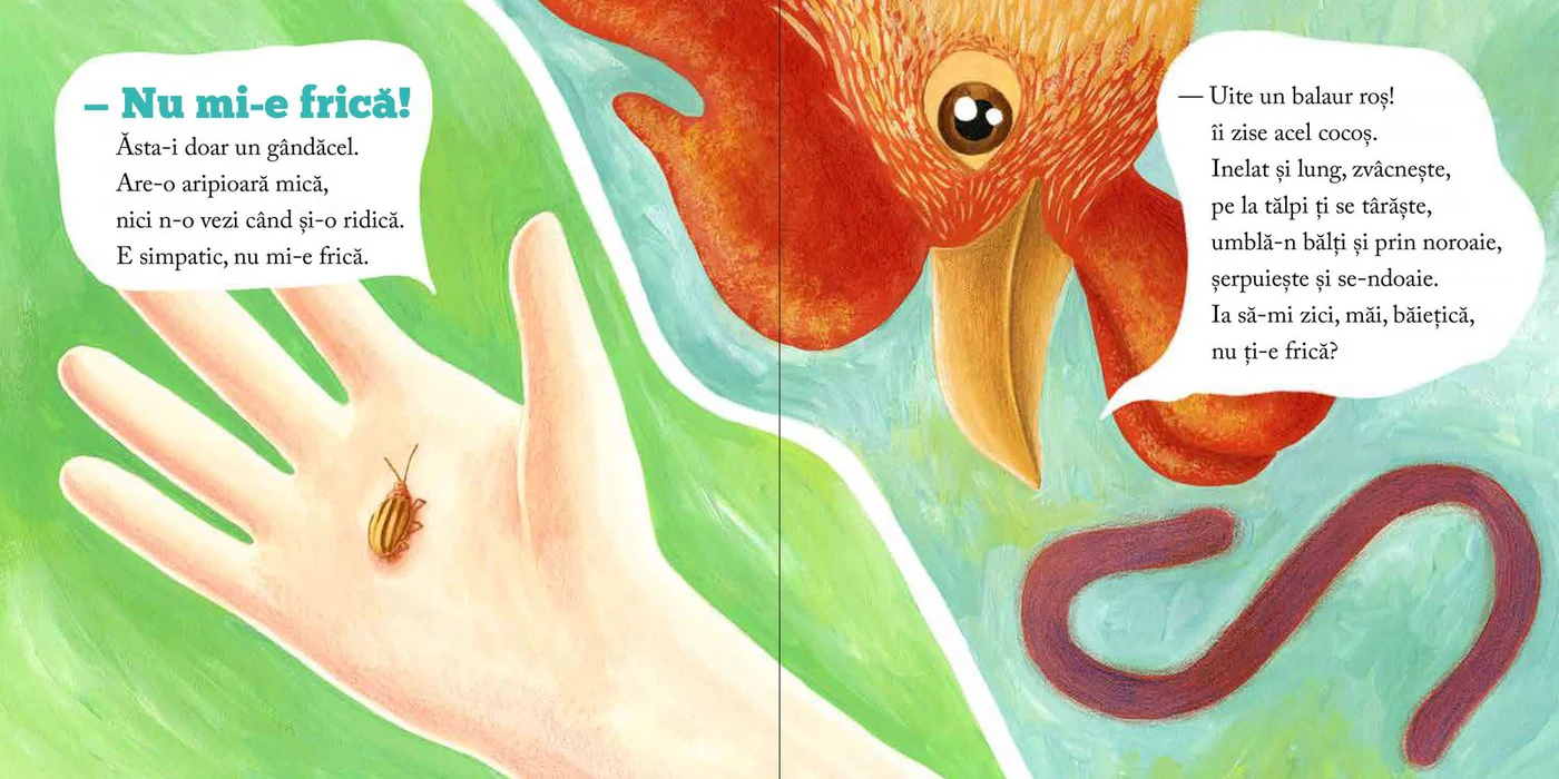 Băiețică Numiefrică [3]