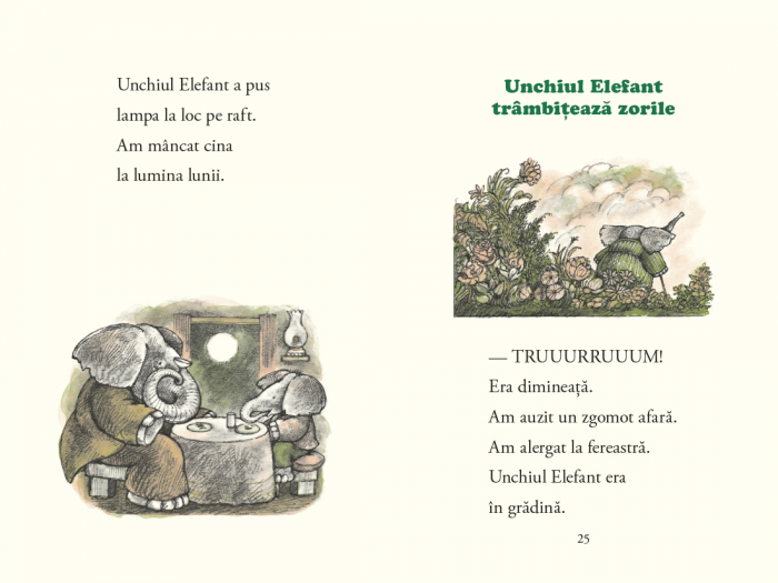 Unchiul Elefant [8]