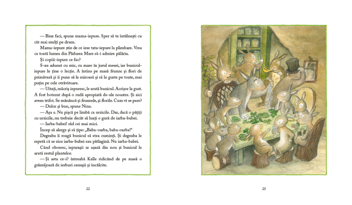 Vară în Pădurea Mare [4]