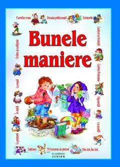 10+ ani - Bunele maniere pentru copii-Flamingo
