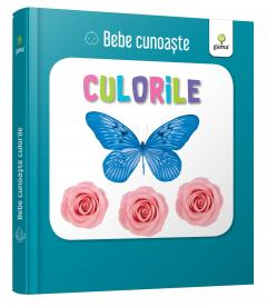 Culorile. Bebe cunoaste [0]