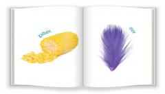 Culorile. Bebe cunoaste [1]