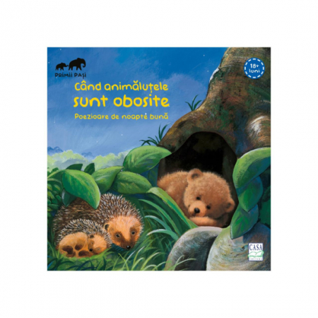 2-5 ani - Când animăluțele sunt obosite