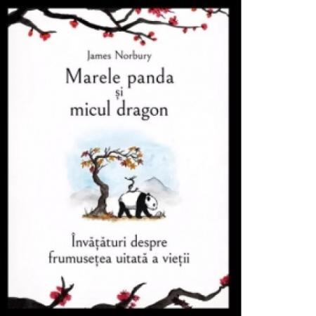 Editura Bookzone - Marele panda și micul dragon