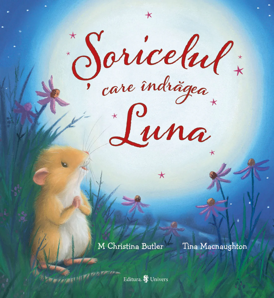 Cărți - Soricelul care indragea Luna