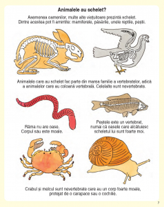 Descoperim corpul omenesc [2]