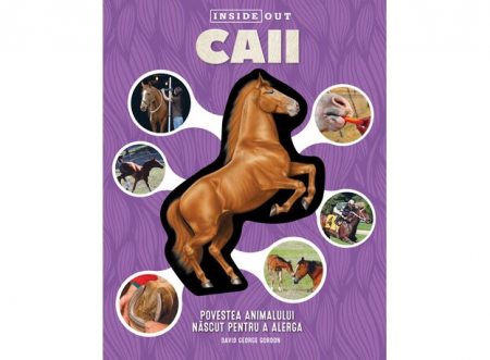 Editura Kreativ - CAII -  model 3D