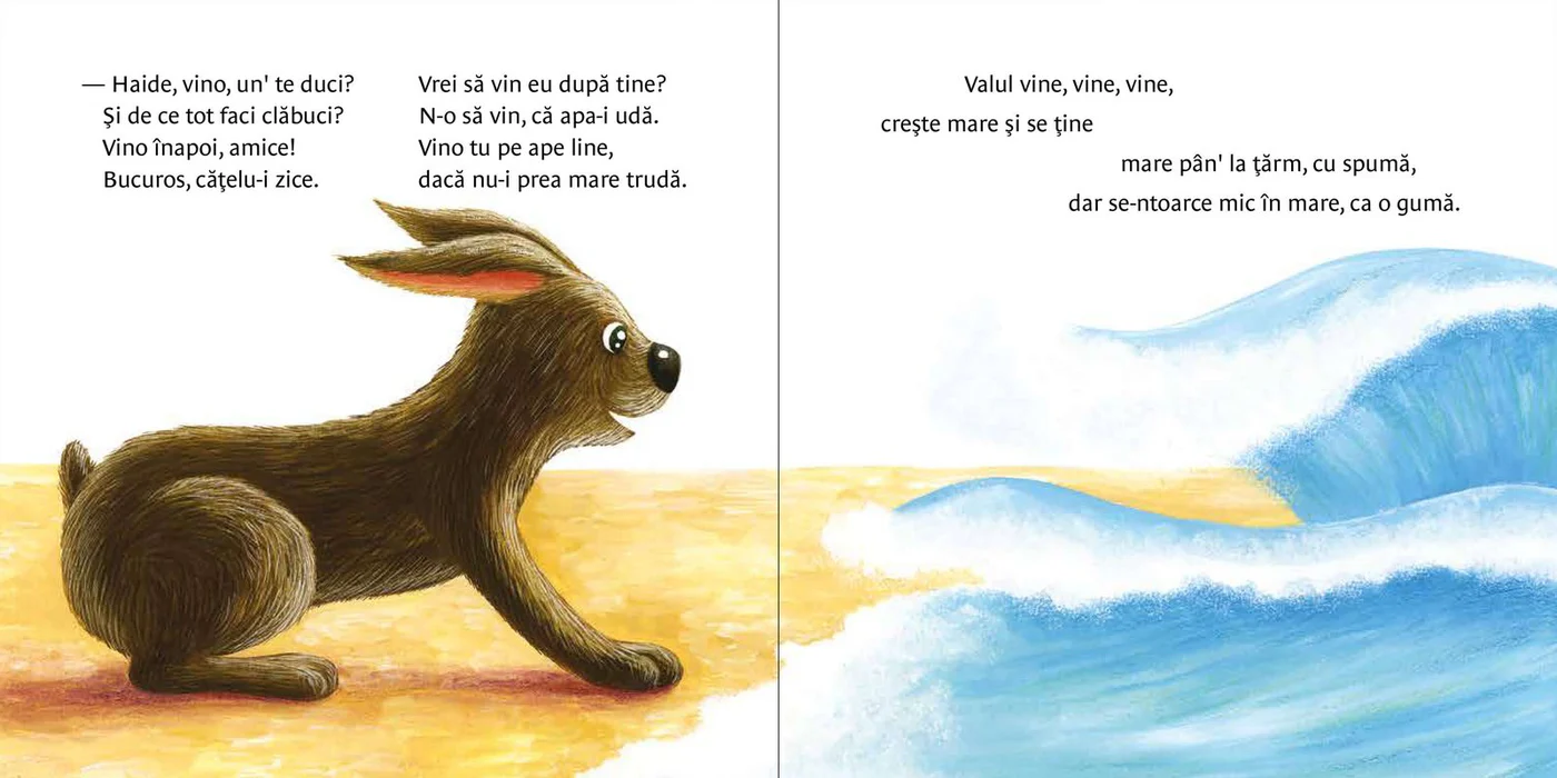 Un cățel pe malul mării [1]