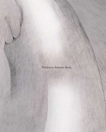 Ce fac sentimentele noaptea [2]