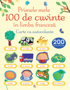 Limbi străine - Primele mele 100 de cuvinte în limba franceză. Carte cu autocolante