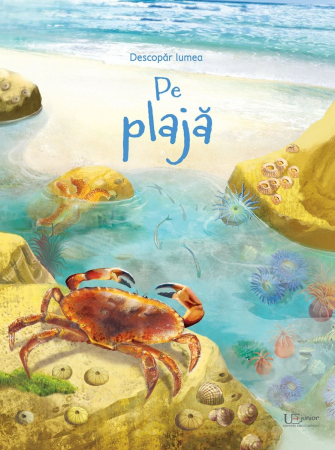 Editura Univers Enciclopedic - Pe plaja (Usborne)