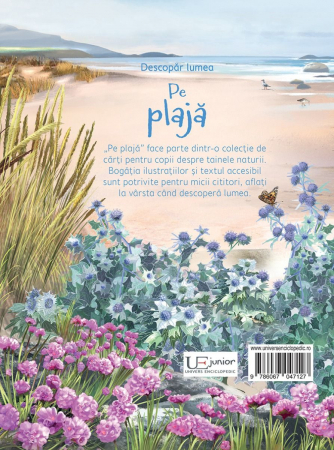 Pe plaja (Usborne) [4]