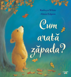 Craciun - Cum arata zapada?
