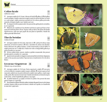 Determinator de plante și animale [1]